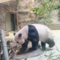 評論圖片 6