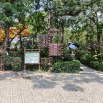 評論圖片 1