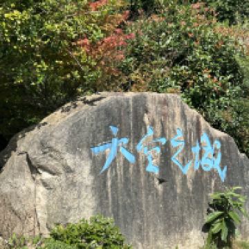 評論圖片 1
