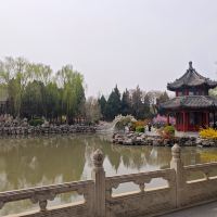 評論圖片 8