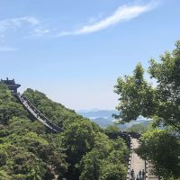 評論圖片 5