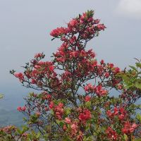 評論圖片 4