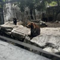 評論圖片 4
