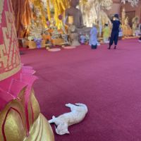 評論圖片 1