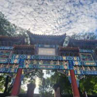 評論圖片 1