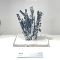 評論圖片 5