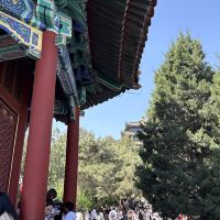 評論圖片 5