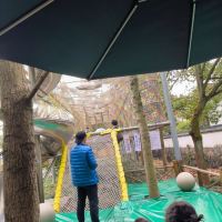 評論圖片 6