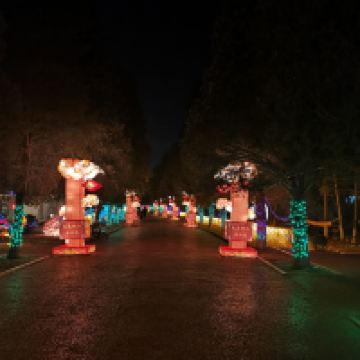 評論圖片 6