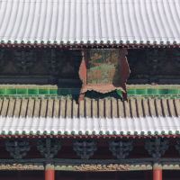 評論圖片 2