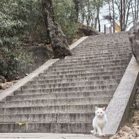 評論圖片 4