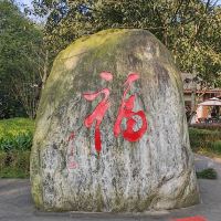 評論圖片 4