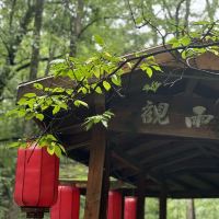 評論圖片 4