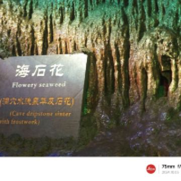 評論圖片 3
