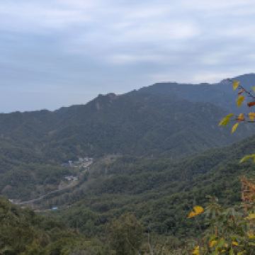 評論圖片 6