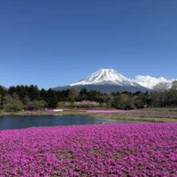 評論圖片 1