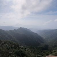 評論圖片 3
