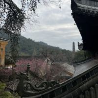 評論圖片 2