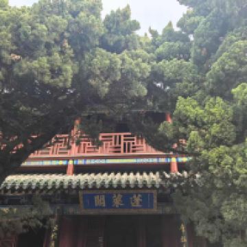 評論圖片 1