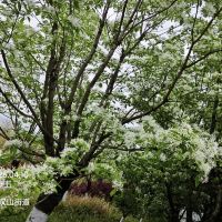 評論圖片 6