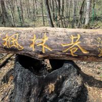評論圖片 3