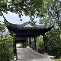 評論圖片 8