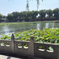 評論圖片 2