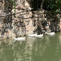評論圖片 3
