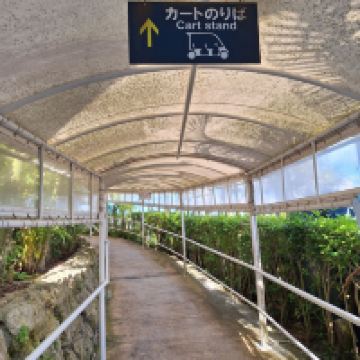 評論圖片 4