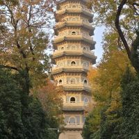 評論圖片 6