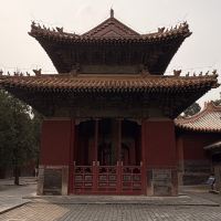 評論圖片 7