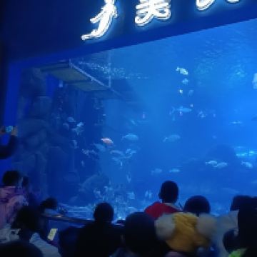 評論圖片 2