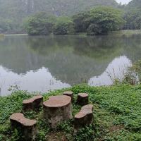 評論圖片 9