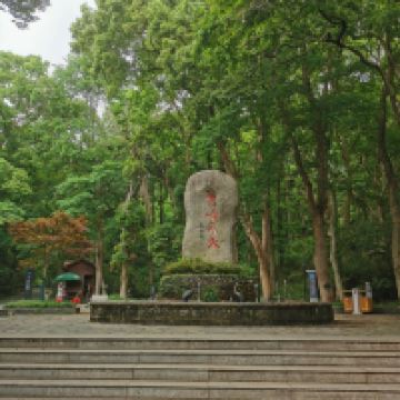 評論圖片 4