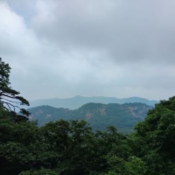 評論圖片 6