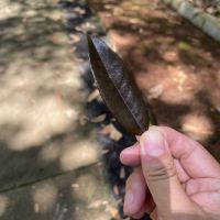 評論圖片 5