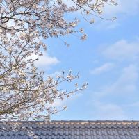 評論圖片 7