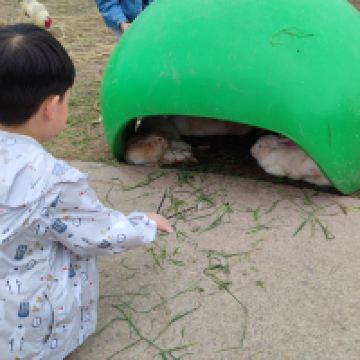 評論圖片 4