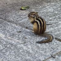 評論圖片 5