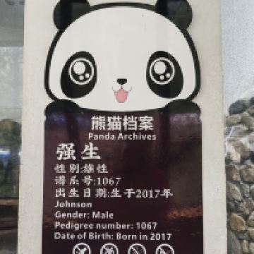 評論圖片 2