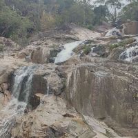 評論圖片 4