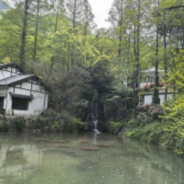 評論圖片 6