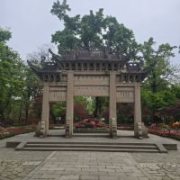 評論圖片 7