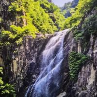 評論圖片 2