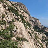 評論圖片 4