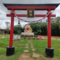 評論圖片 3
