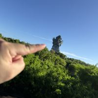 評論圖片 5