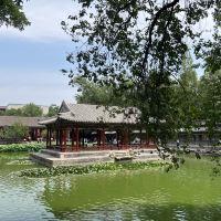 評論圖片 4
