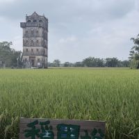 評論圖片 2