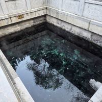 評論圖片 5